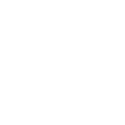 Brioni Logo Footer